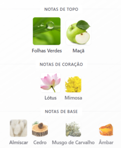 nautica-voyage-notas
